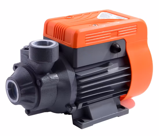 Pompes à eau Pompe périphérique Bomba Periferica Qb60 Pompe à eau électrique
