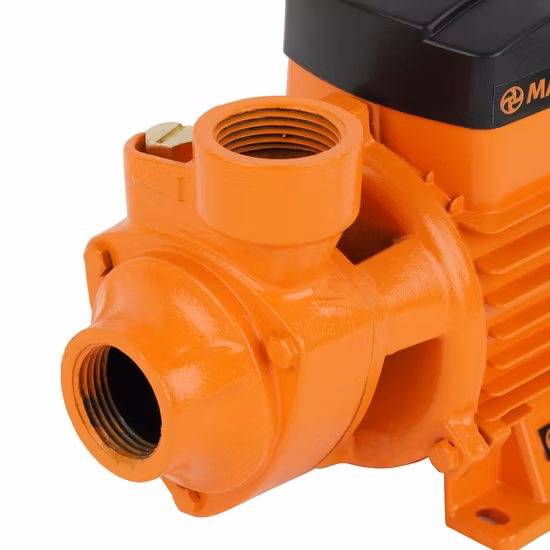 Ensemble de pompe à eau centrifuge périphérique Vortex propre, transfert haute pression électrique en fonte 1/2HP, Irrigation Qb60
