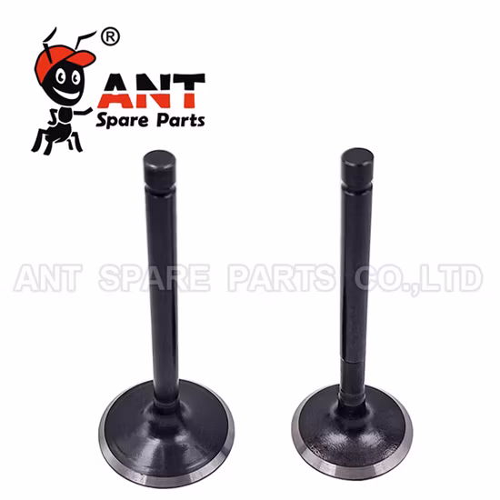 Partie de moteur diesel de haute qualité C9 Ex&in Valve 241